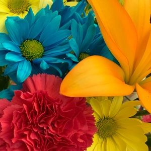 Meet your Posher, Tian